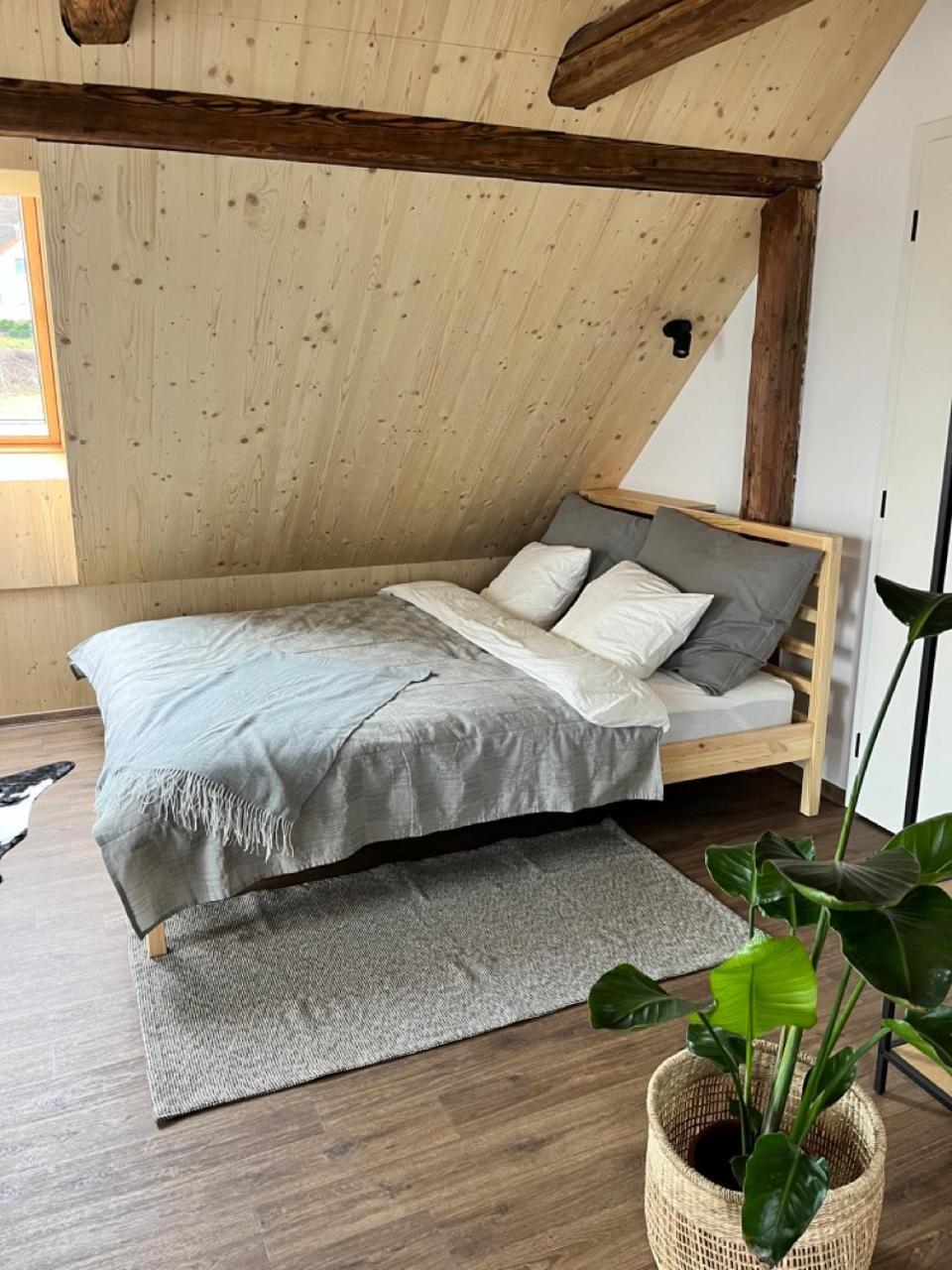Sanky Apartmany Λίμπερεκ Εξωτερικό φωτογραφία